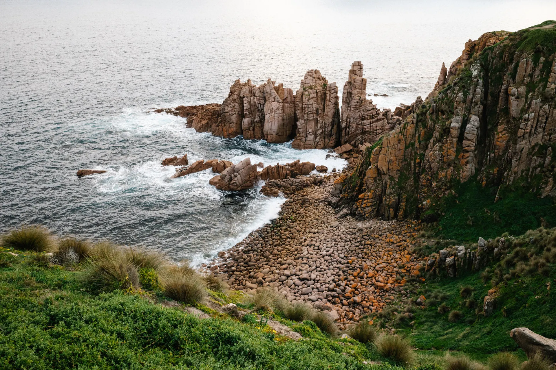 About Phillip Island Nature Parks | Biodiversity, Highlights, & More